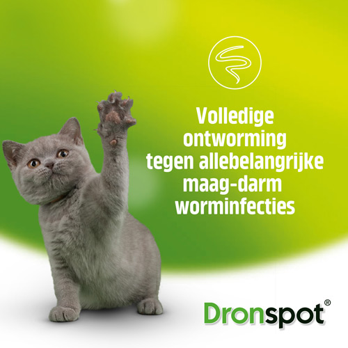 Drontspot-NL-02