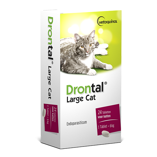 Drontal Chat - Vermifuge chat - 4 comprimés - VETOQUINOL