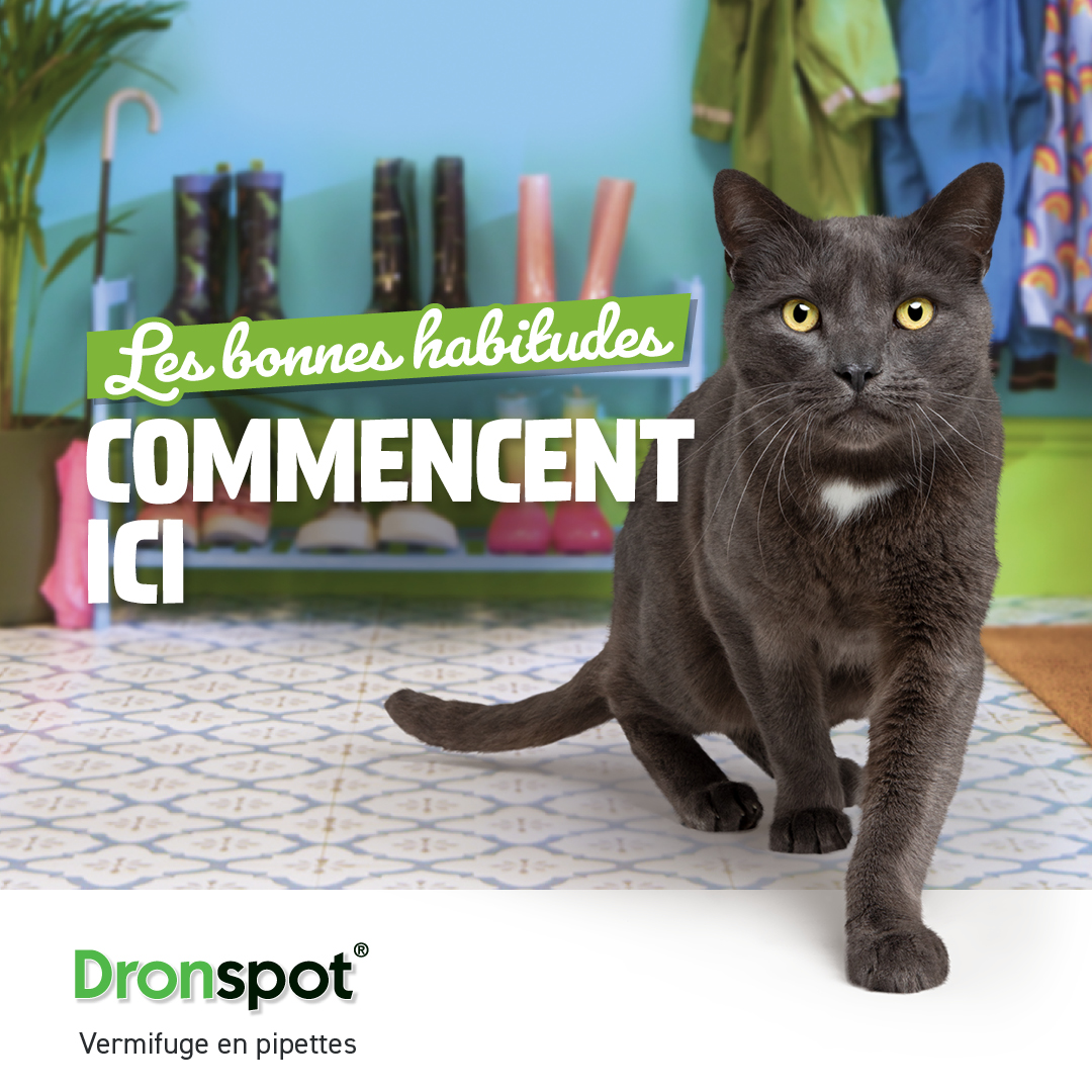 VTQ-Goede_Gewoonten-Social-Kat_FR