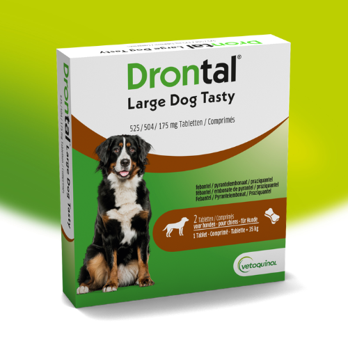 Een titel toevoegen (3)